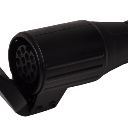 Cantonal Buchse 13-polig