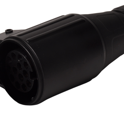 Cantonal Buchse 13-polig