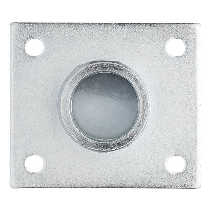 Cantonal Flansch/Befestigungsplatte für 2024981