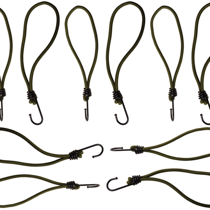 Cantonal Set mit 10 Spanngummis mit Haken (dunkelgrün) 230 mm