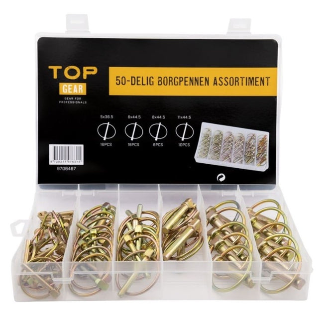 Cantonal Sortiment Sicherungsstifte 50-teilig