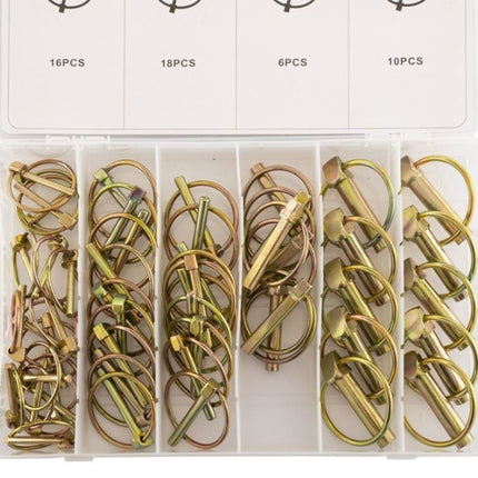 Cantonal Sortiment Sicherungsstifte 50-teilig