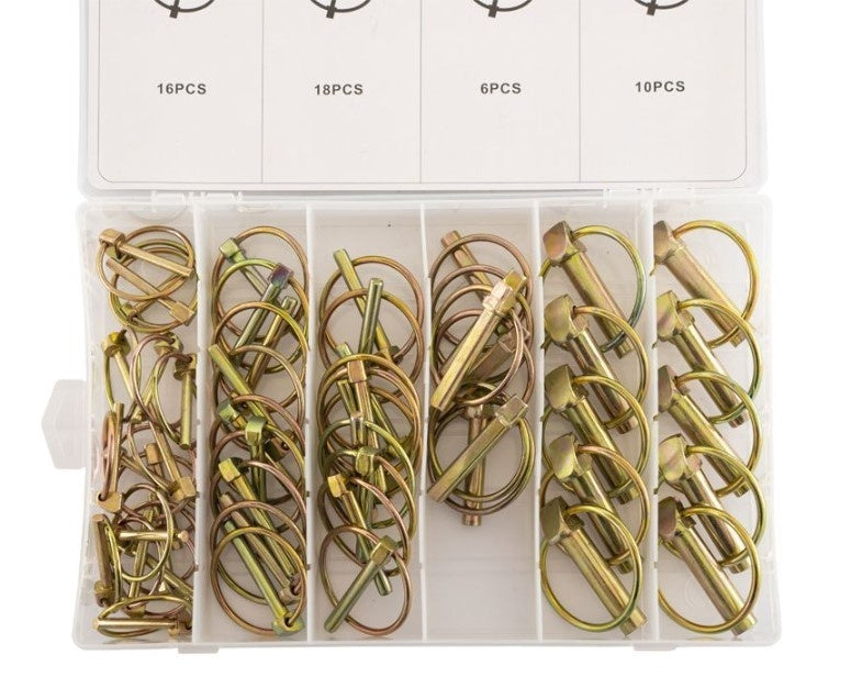 Cantonal Sortiment Sicherungsstifte 50-teilig