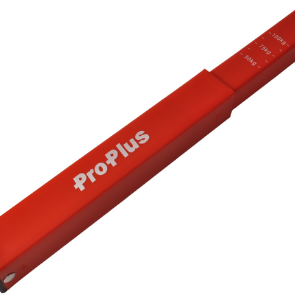 Cantonal Stützlastwaage (Kunststoff)