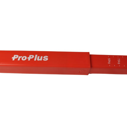 Cantonal Stützlastwaage (Kunststoff)