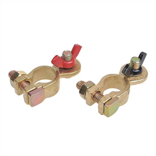 ProPlus Batterieklemme mit Flügelmutter - 12 - 24V - (-) ist 17,5 mm - (+) ist 19 mm