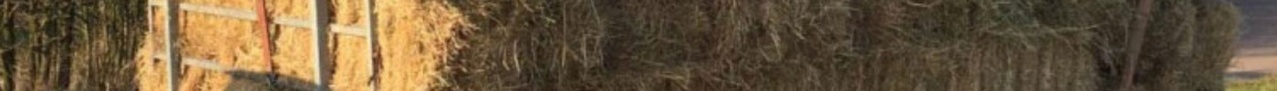 blog-formaat-1