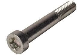 AL-KO Torx-Schraube - M8x97 mm - geeignet für den AL-KO AKS2004