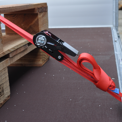 Cantonal 2 Stück Spanngurte - 500x2,5 cm - rot - Bruchlast 750 kg