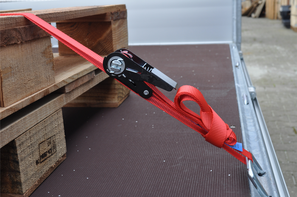 Cantonal 2 Stück Spanngurte - 500x2,5 cm - rot - Bruchlast 750 kg