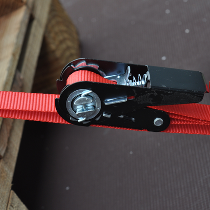 Cantonal 2 Stück Spanngurte - 500x2,5 cm - rot - Bruchlast 750 kg