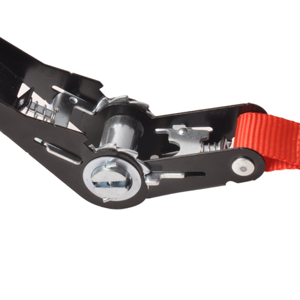 Cantonal 2 Stück Spanngurte - 500x2,5 cm - rot - Bruchlast 750 kg