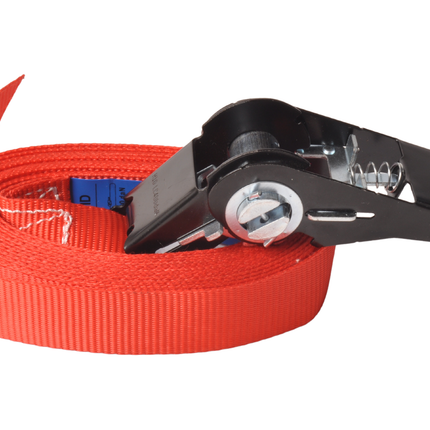 Cantonal 2 Stück Spanngurte - 500x2,5 cm - rot - Bruchlast 750 kg