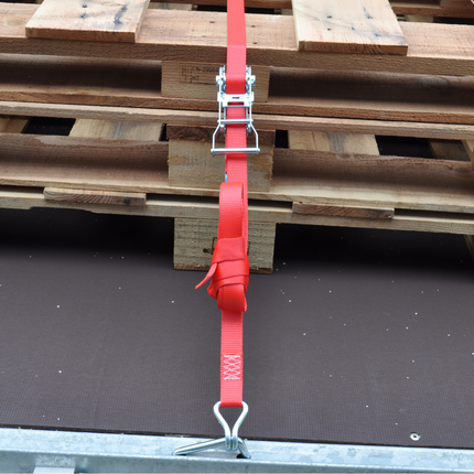 Cantonal 2 Stück Spanngurte - 700x2,5 cm - rot - Bruchlast 750 kg