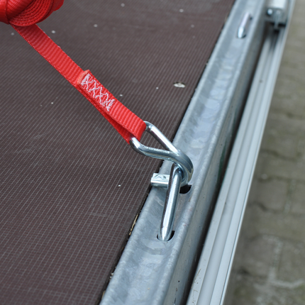 Cantonal 2 Stück Spanngurte - 700x2,5 cm - rot - Bruchlast 750 kg