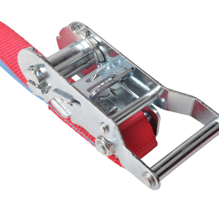 Cantonal 2 Stück Spanngurte - 700x2,5 cm - rot - Bruchlast 750 kg