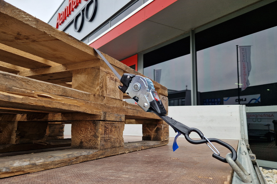 Cantonal 2 Stück Spanngurte automatisch - 180x2,5 cm - Bruchlast 600 kg - inkl. S-Haken und Sicherungsfeder