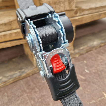 Cantonal 2 Stück Spanngurte automatisch - 180x2,5 cm - Bruchlast 600 kg - inkl. S-Haken und Sicherungsfeder