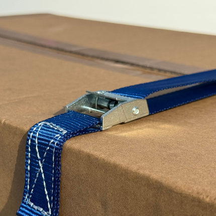 Cantonal 4 Stück Spanngurte - 300x2,5 cm - blau - Bruchlast 250 kg