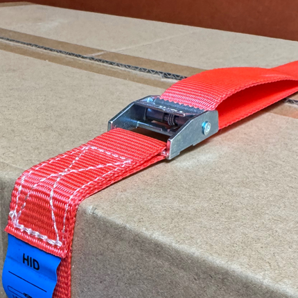 Cantonal 4 Stück Spanngurte - 300x2,5 cm - rot - Bruchlast 250 kg