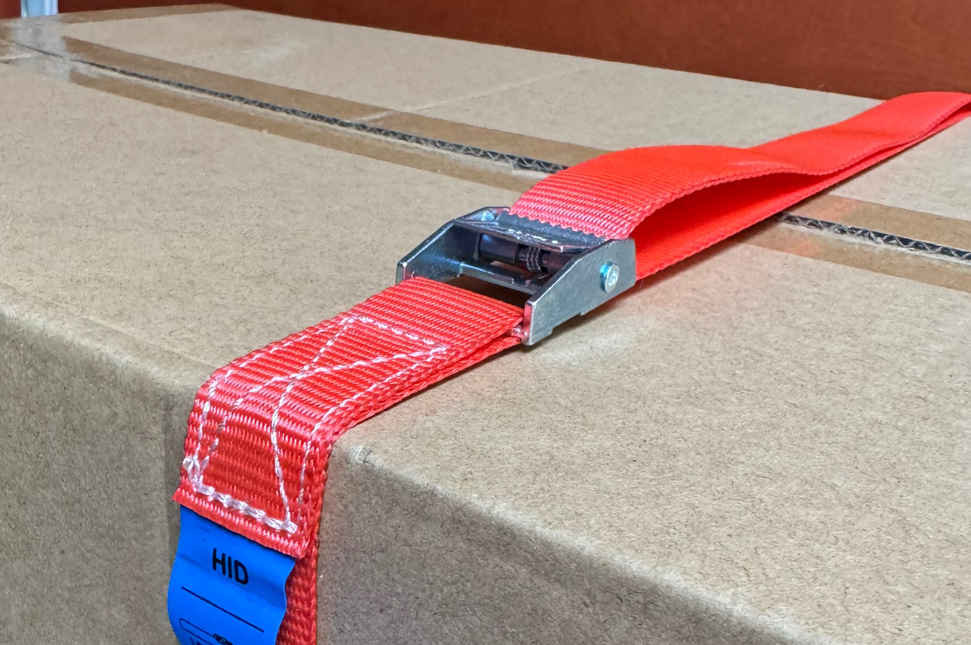 Cantonal 4 Stück Spanngurte - 300x2,5 cm - rot - Bruchlast 250 kg