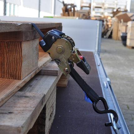 Cantonal Automatisch aufrollender Spanngurt mit zwei S-Haken 180x2,5 cm (300 kg)  - satz von 2 Stück