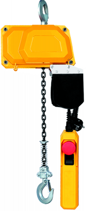 Cantonal Kettenzug elektrisch - 150 kg - 220V - 3 Meter Hubhöhe