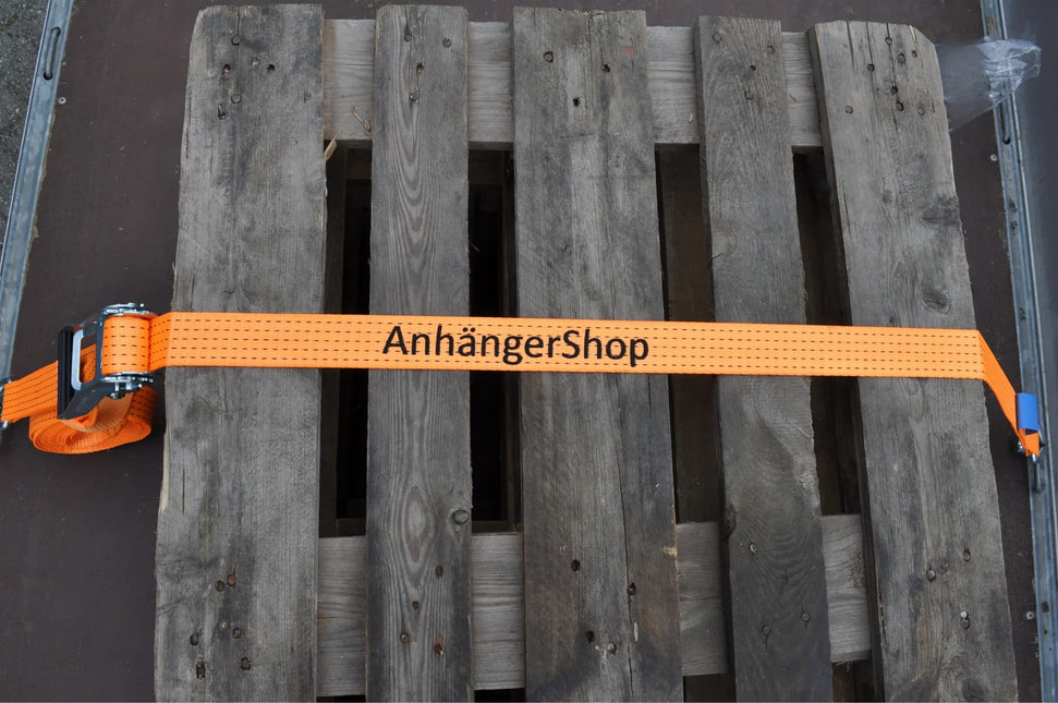 Cantonal Satz mit 4 Spanngurte 800x5 cm - AHS-Druck - 5000 kg