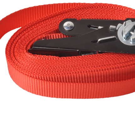 Cantonal Satz von 2 roten Spanngurte 500x2,5 cm (750 kg)