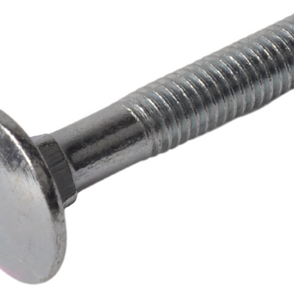 Cantonal Schlossschraube M6 x 35 mm