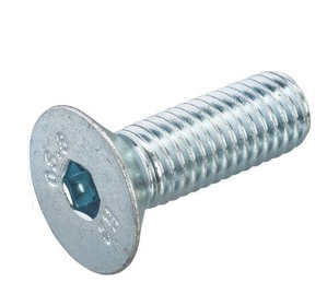 Cantonal Schraube M8x30 mm - passend für Scharnierhalter