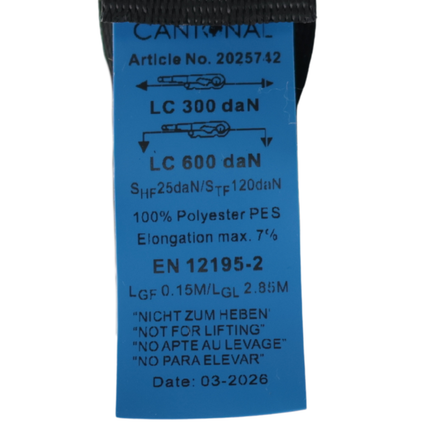 Cantonal Set mit 2 automatisch Spanngurte - 300x2,5 cm - 600 kg - S-Haken - wasserdicht