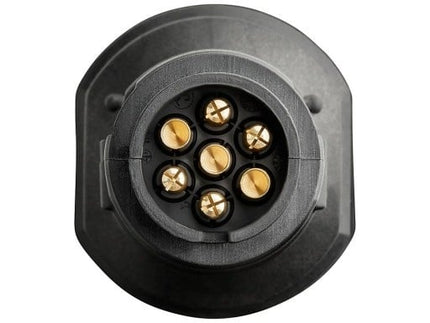 Cantonal Spannungswandler - 24 > 12 Volt - 7-polige Steckdose