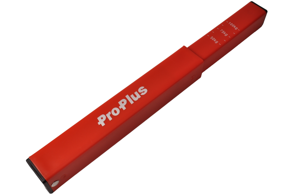 Cantonal Stützlastwaage (Kunststoff)